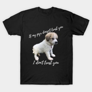 If my pyr doesn't trust you, I don't trust you T-Shirt